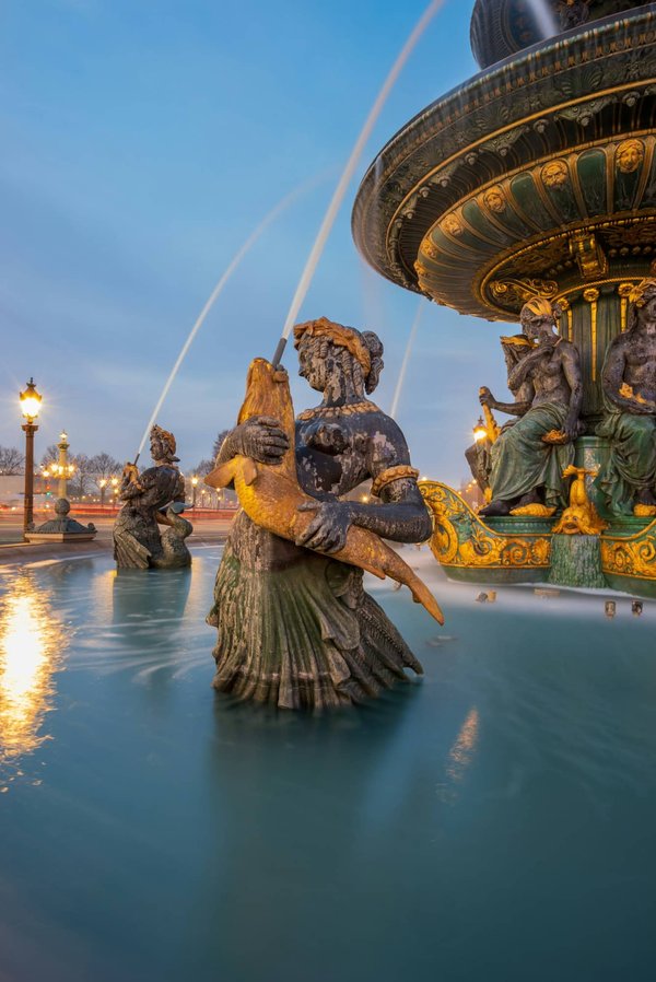 Quels sont les avantages des fontaines à eau pour les chats de race Toyger?